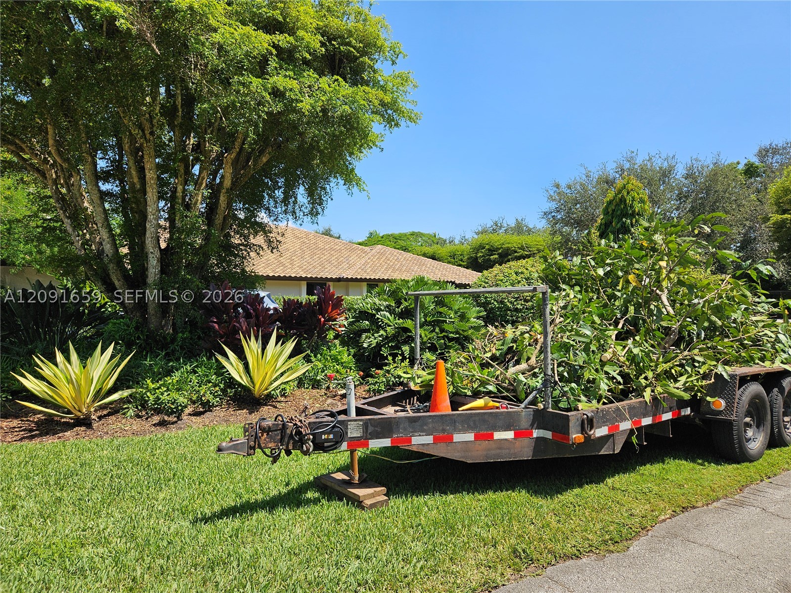 South Miami photo 4