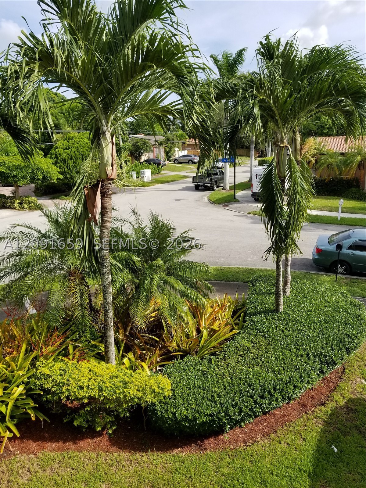 South Miami photo 5