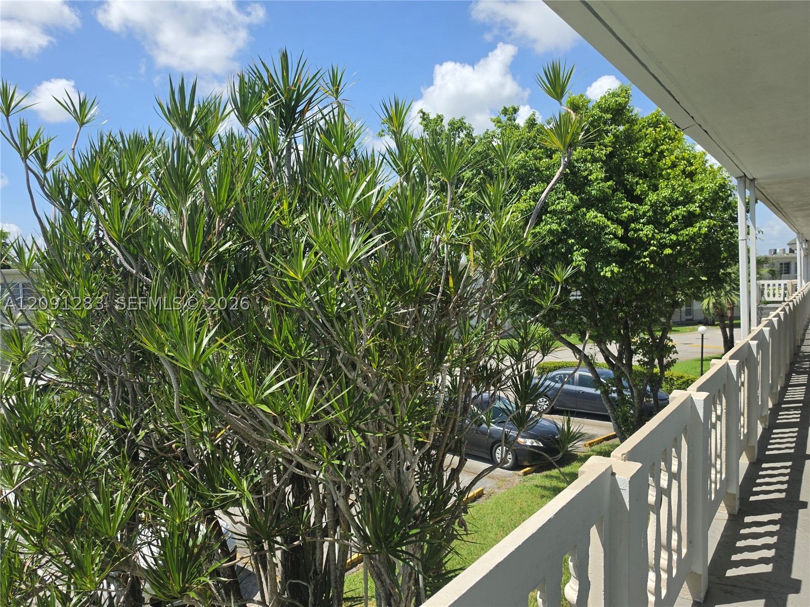 Miami Gardens photo 4
