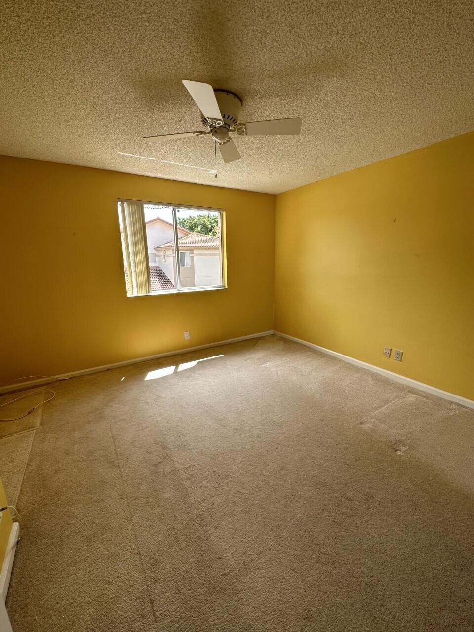 Boca Raton photo 5