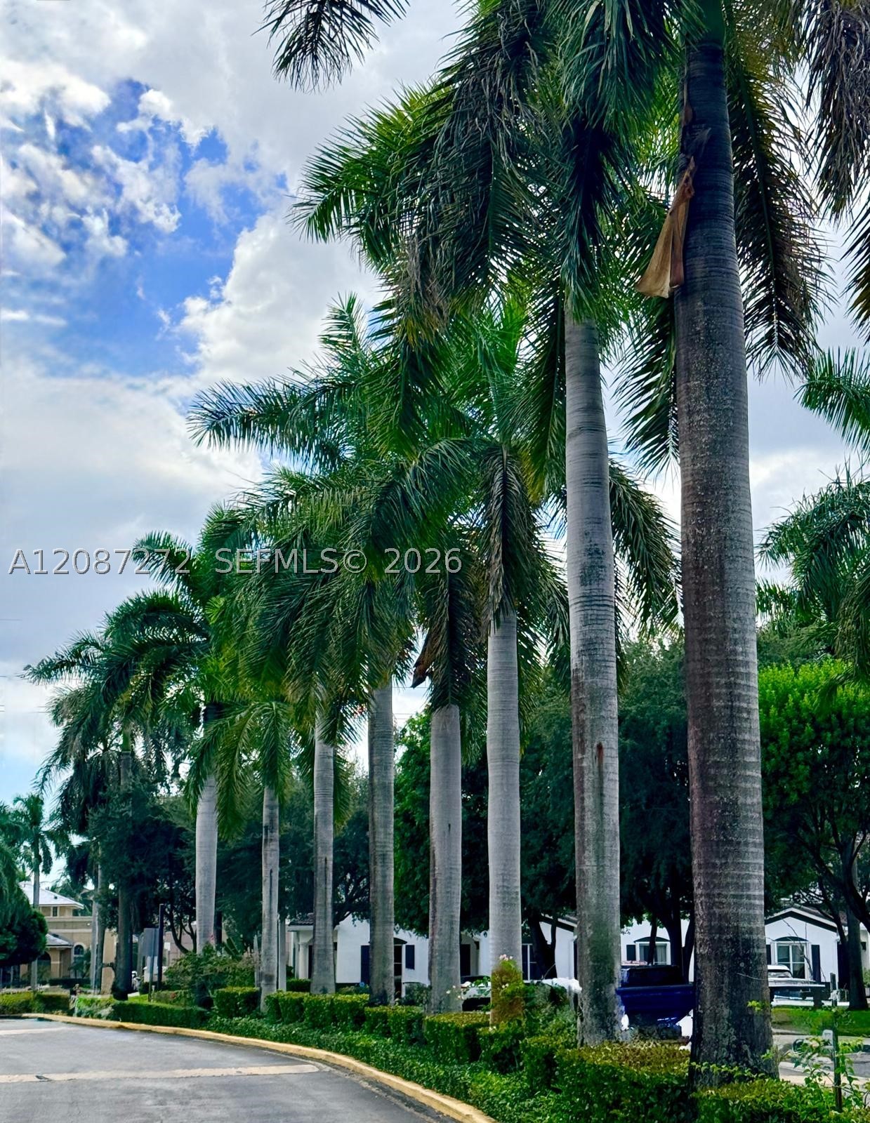Miami photo 4