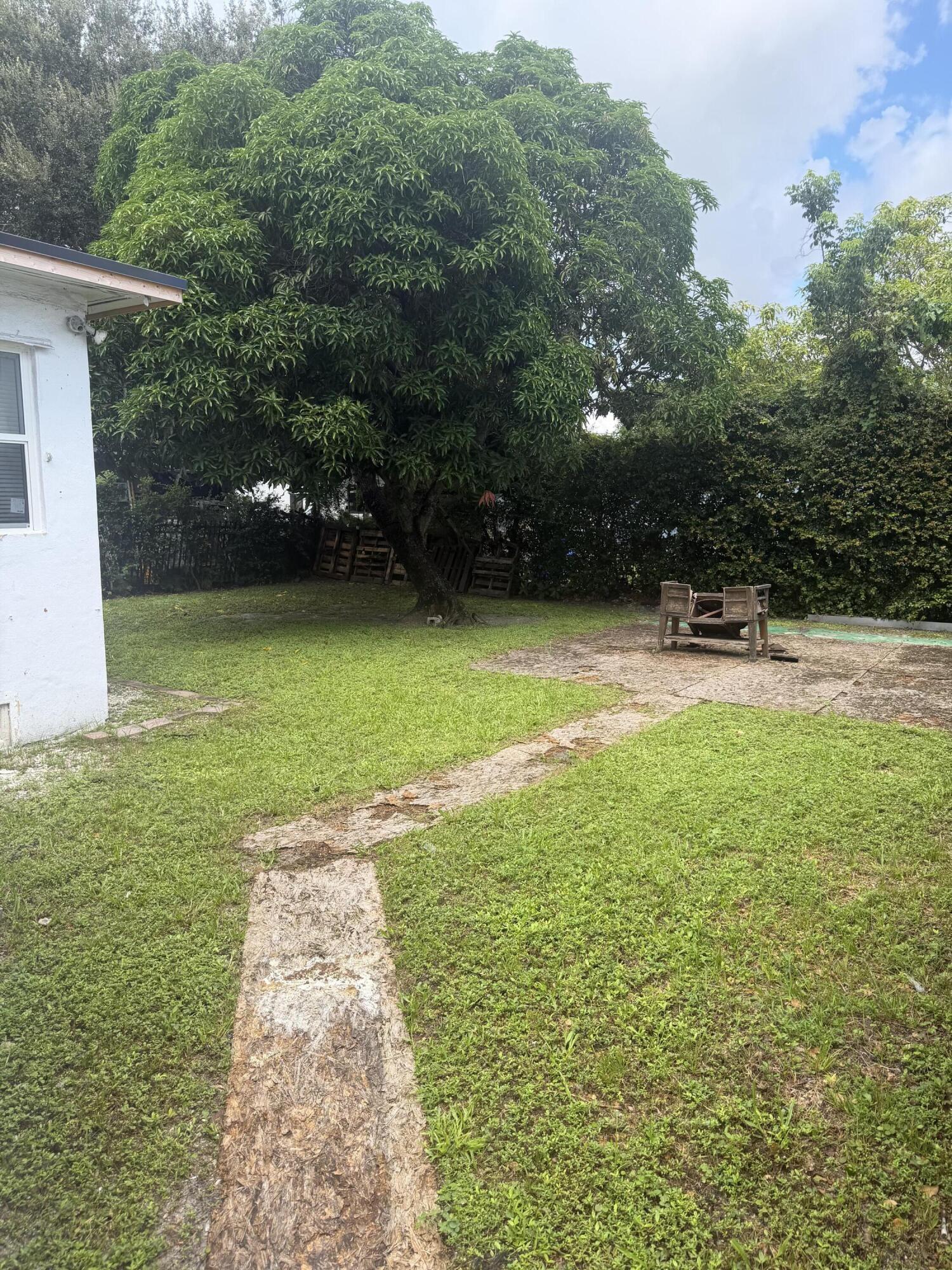 Miami photo 4