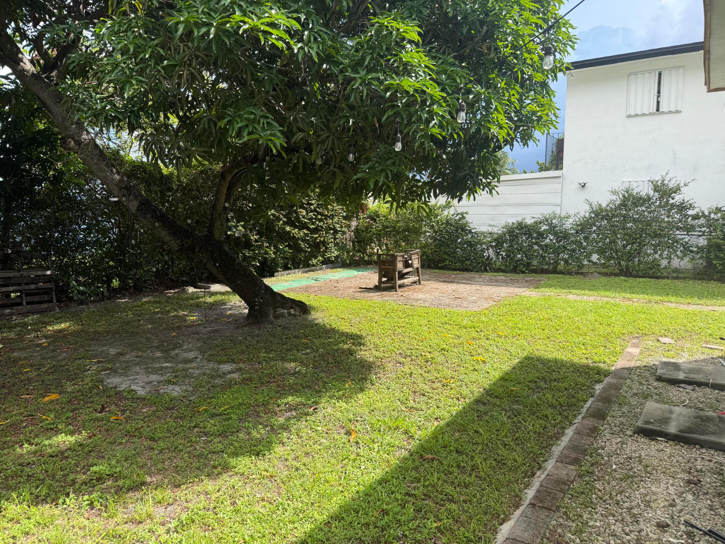 Miami photo 5