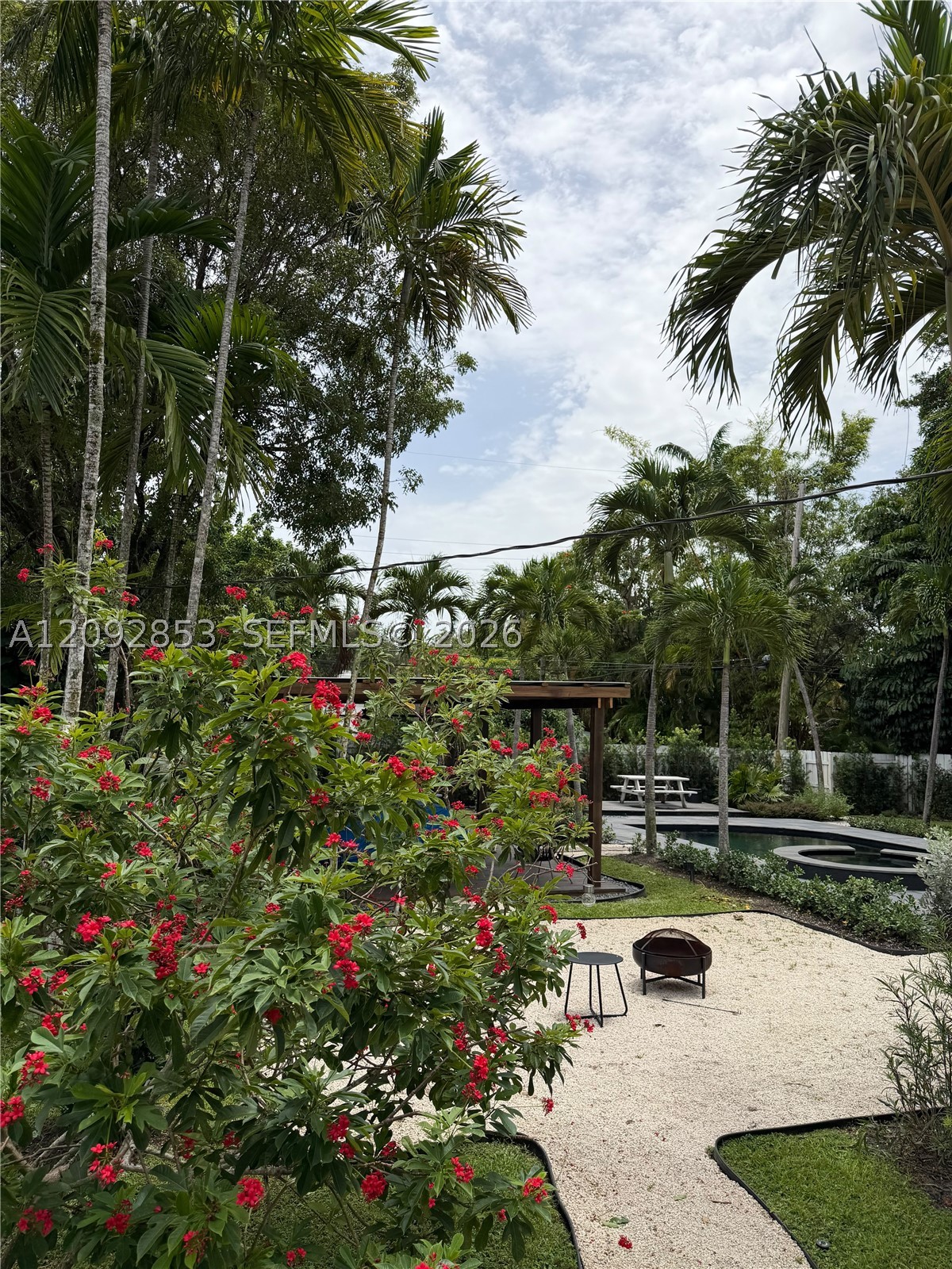 Miami Shores photo 3