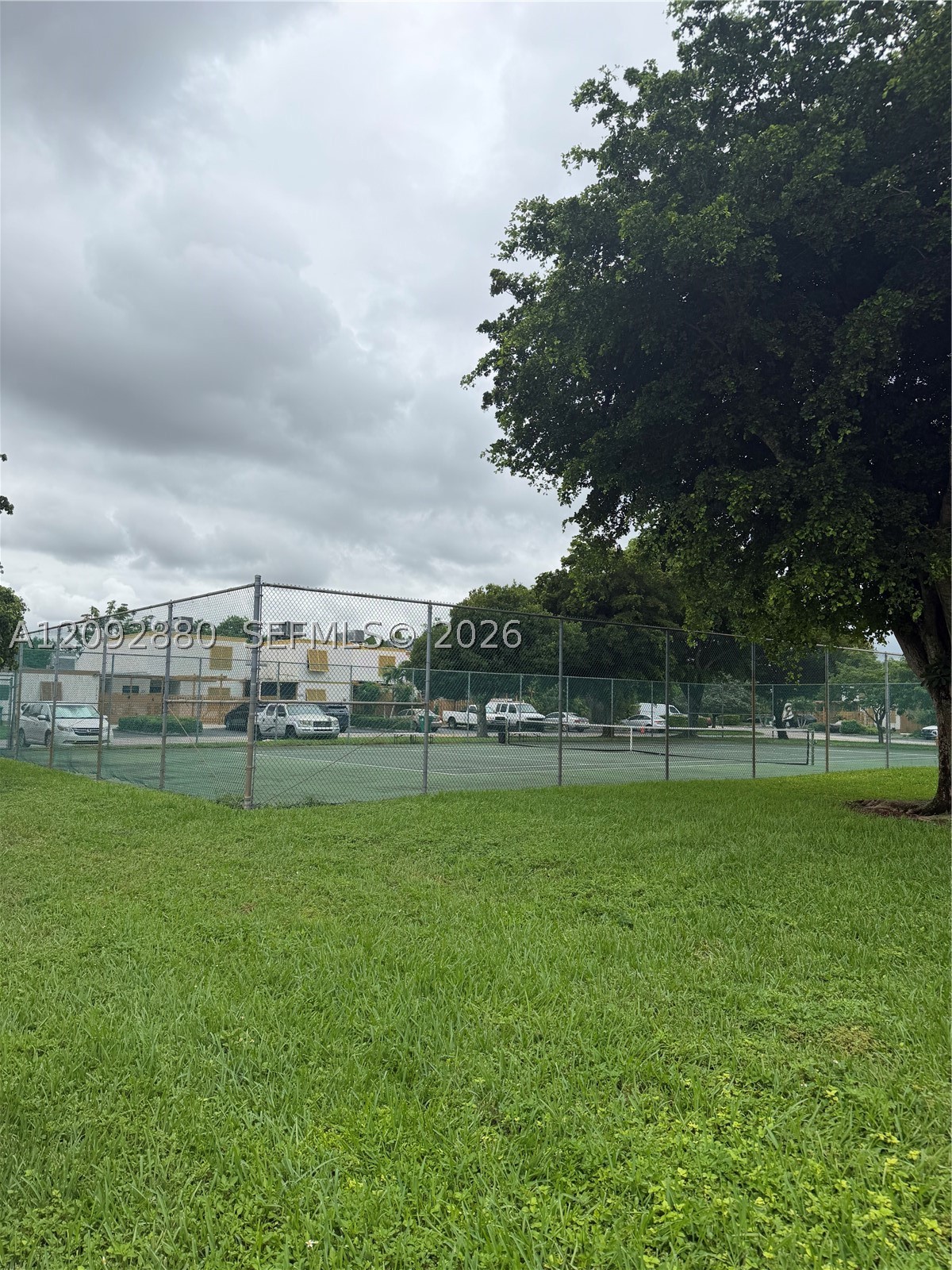 Miami photo 5