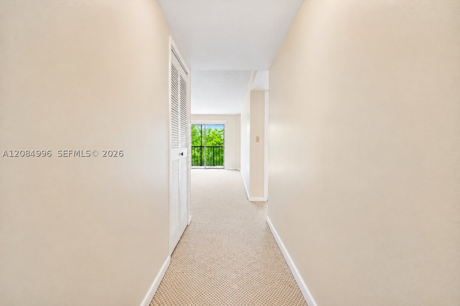 Miami photo 4