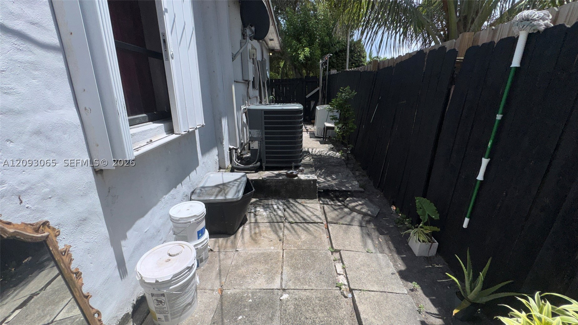 Miami photo 4