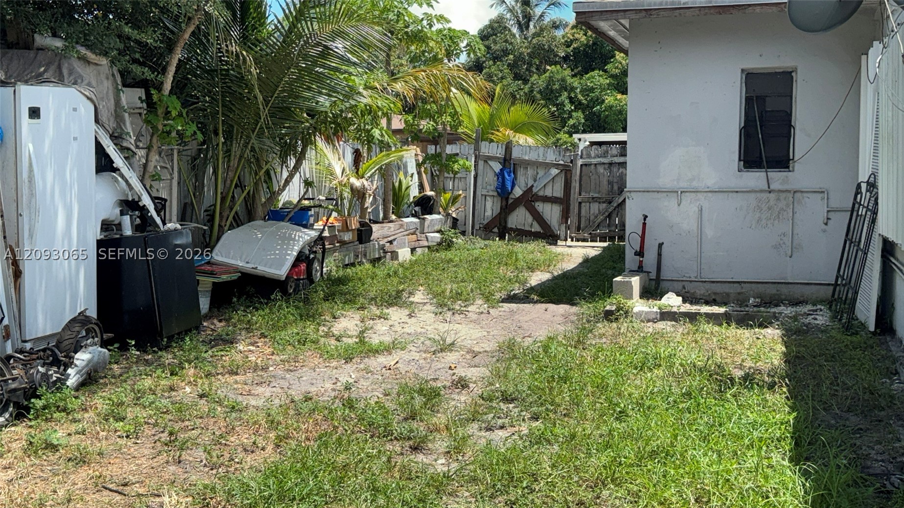 Miami photo 5