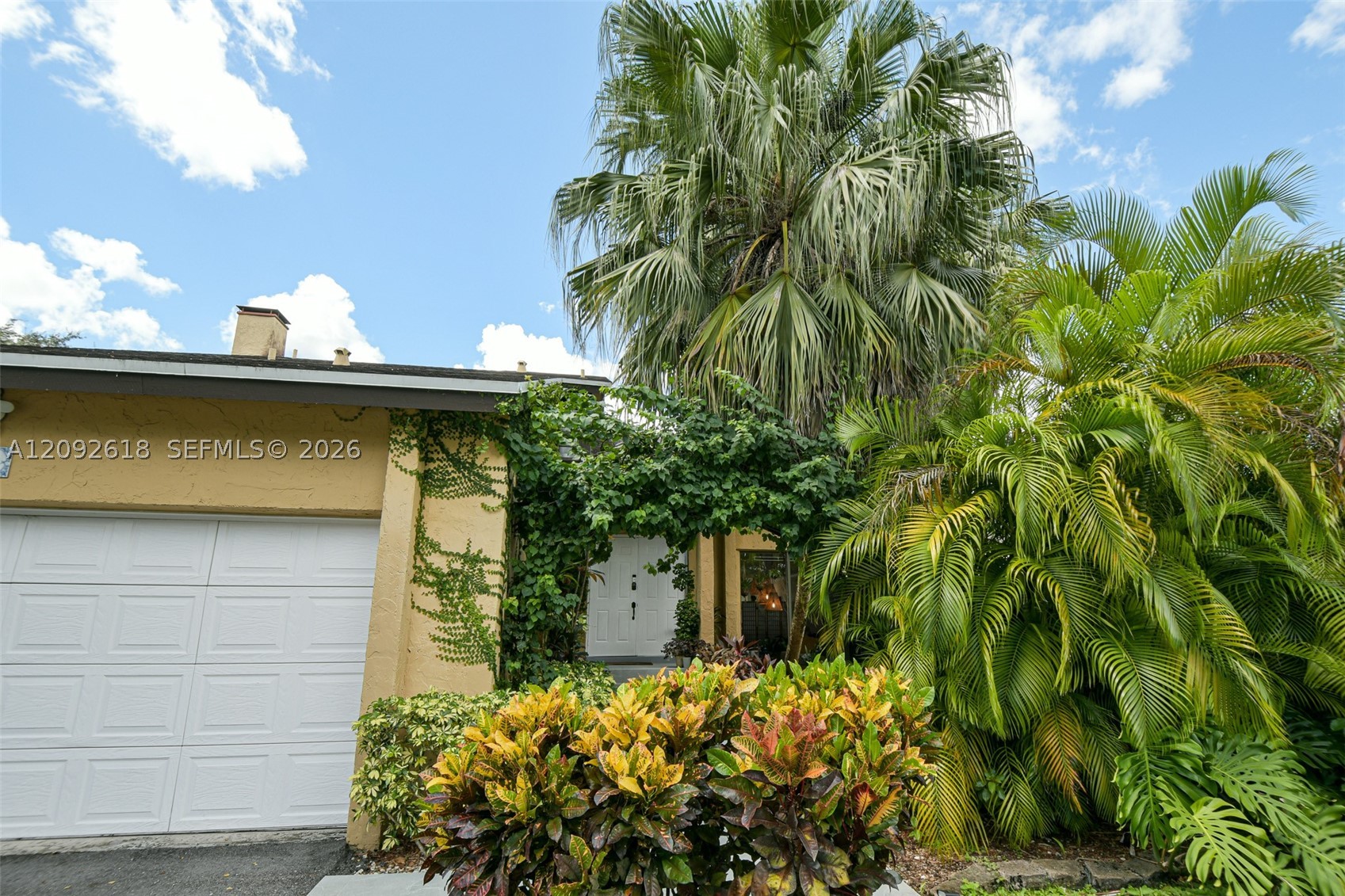 Miami photo 3