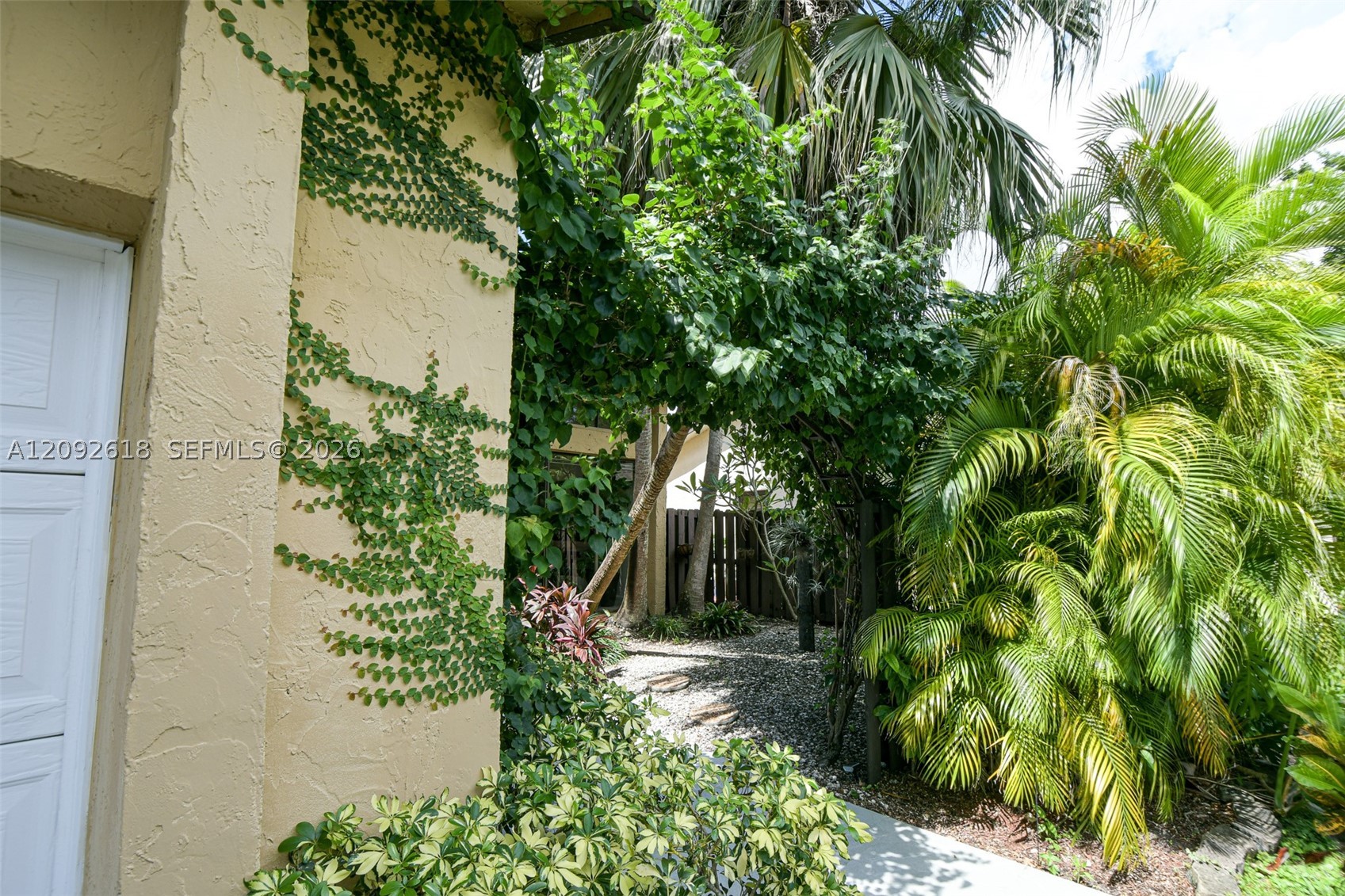 Miami photo 4
