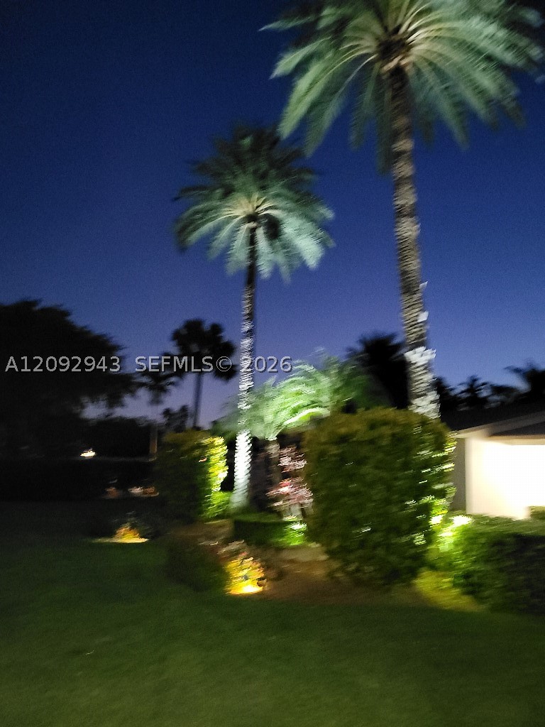 Miami photo 4