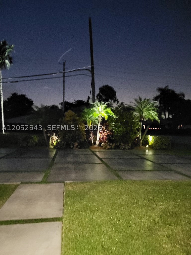 Miami photo 5
