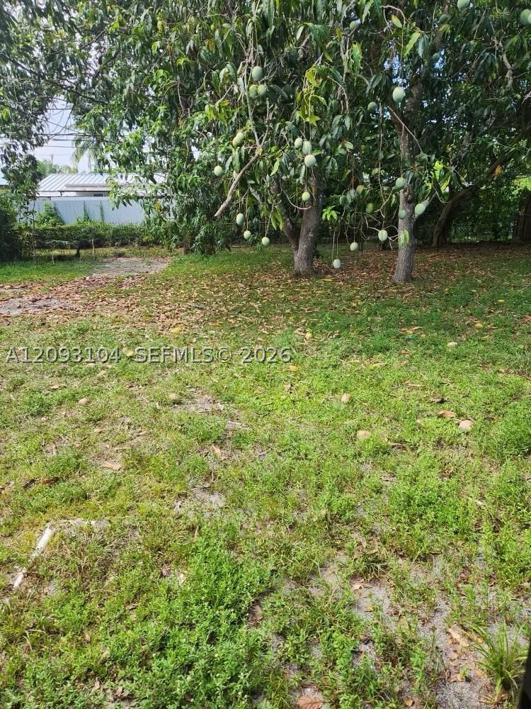 Opa Locka photo 2