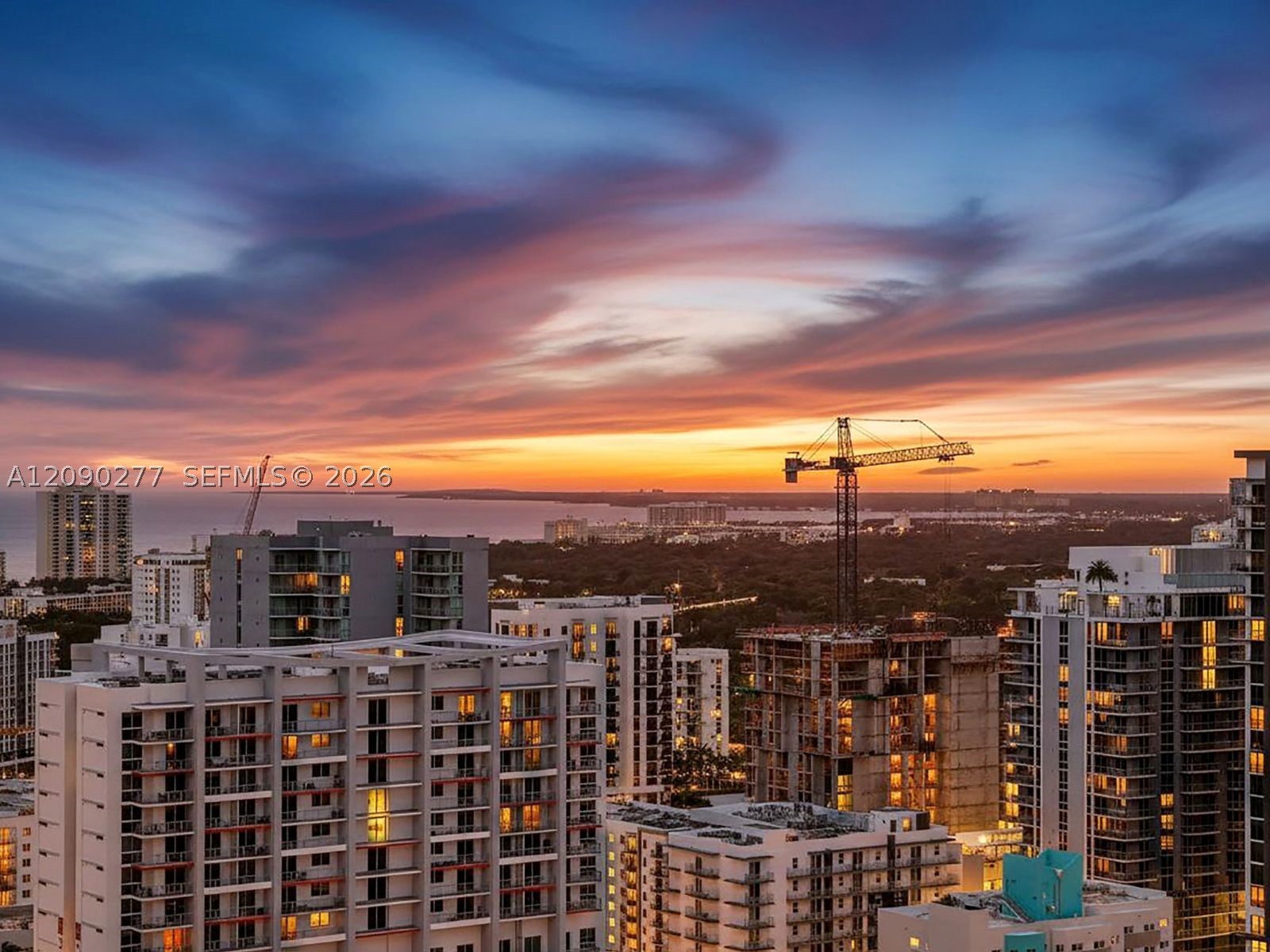 Miami photo 5