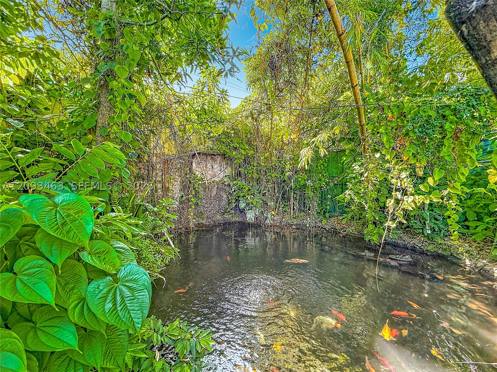Miami photo 2