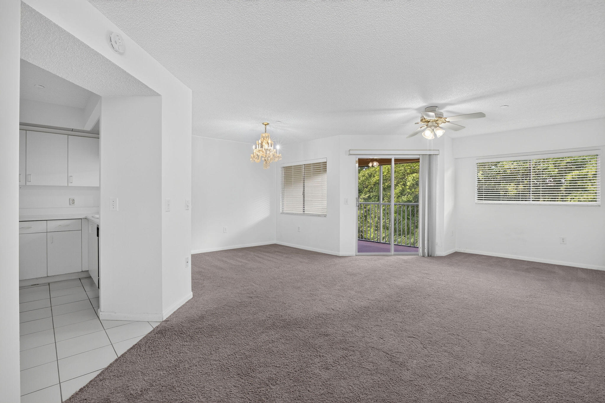 Pembroke Pines photo 4