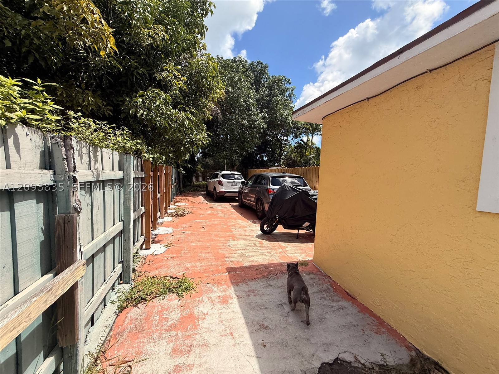 Miami photo 3