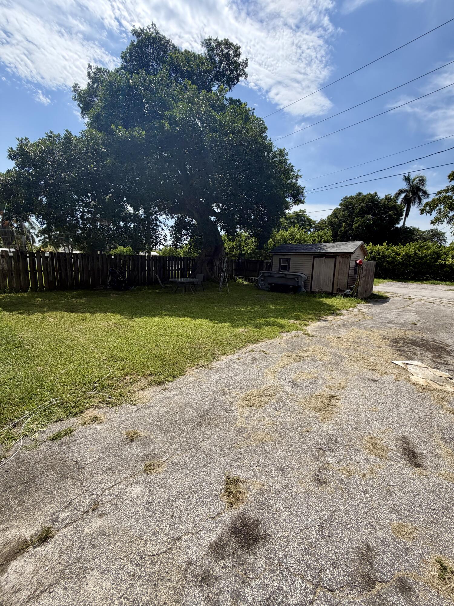 Dania Beach photo 5