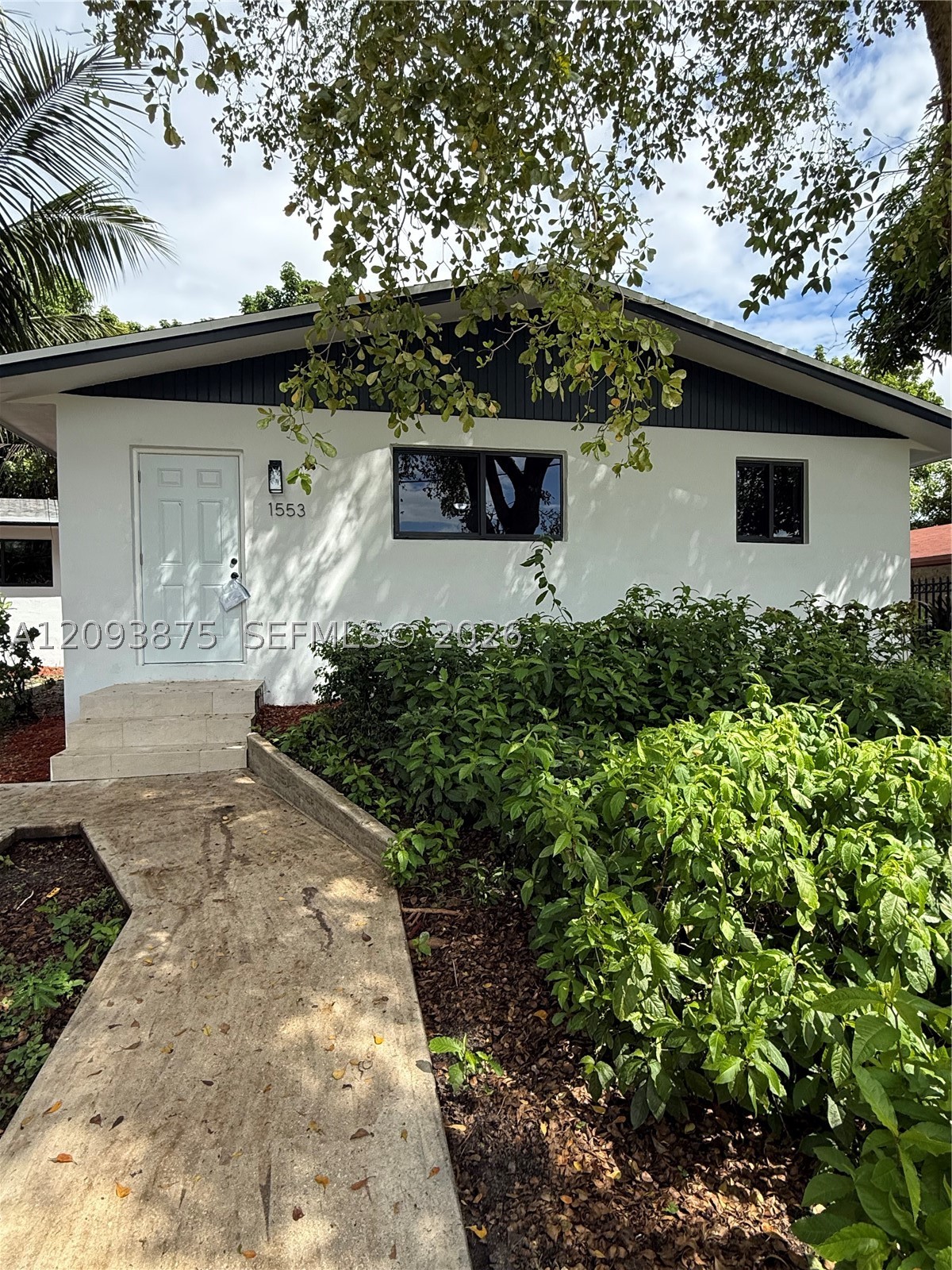 Miami photo 4