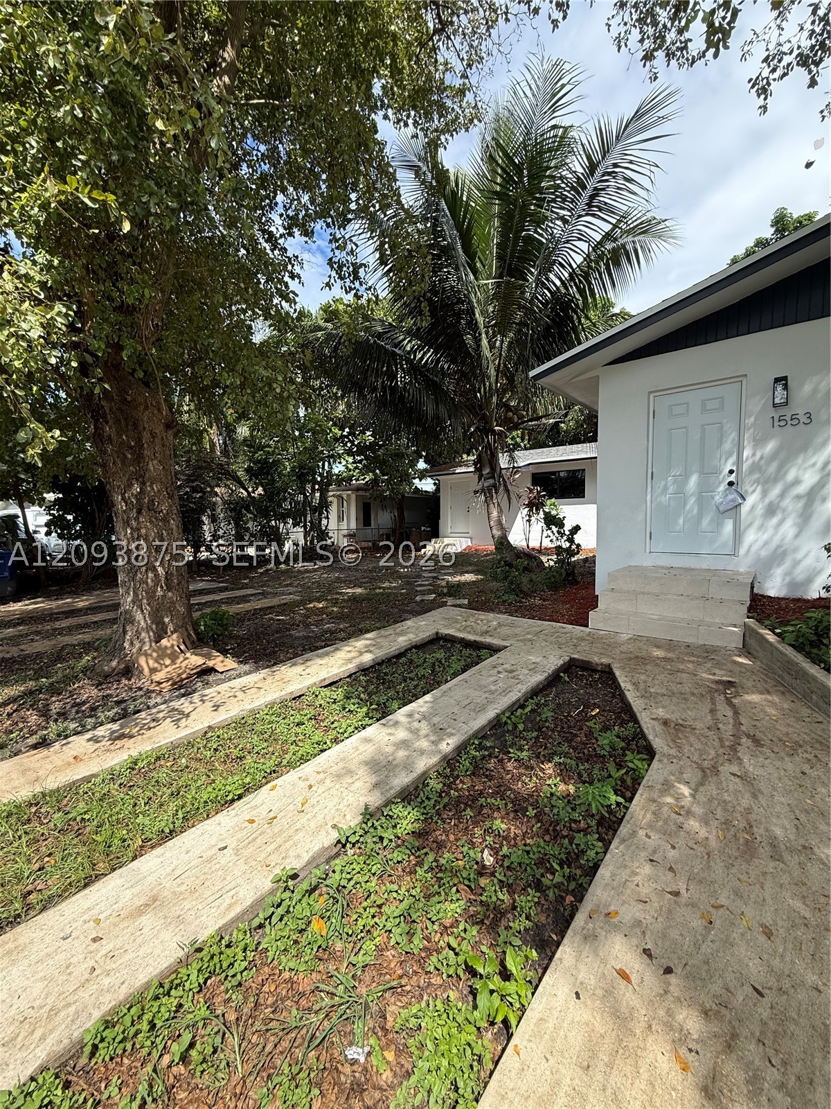 Miami photo 5