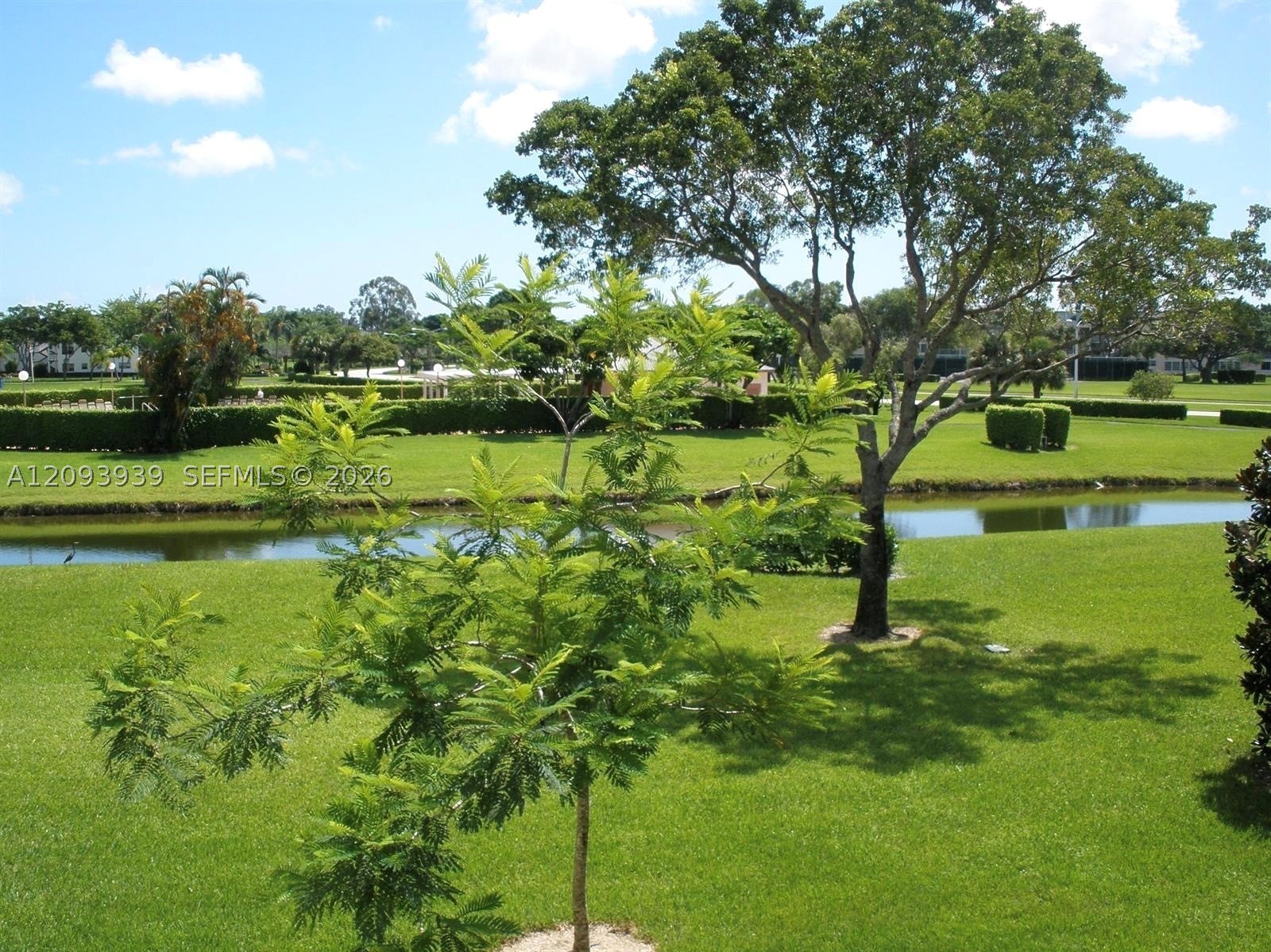 Boca Raton photo 4
