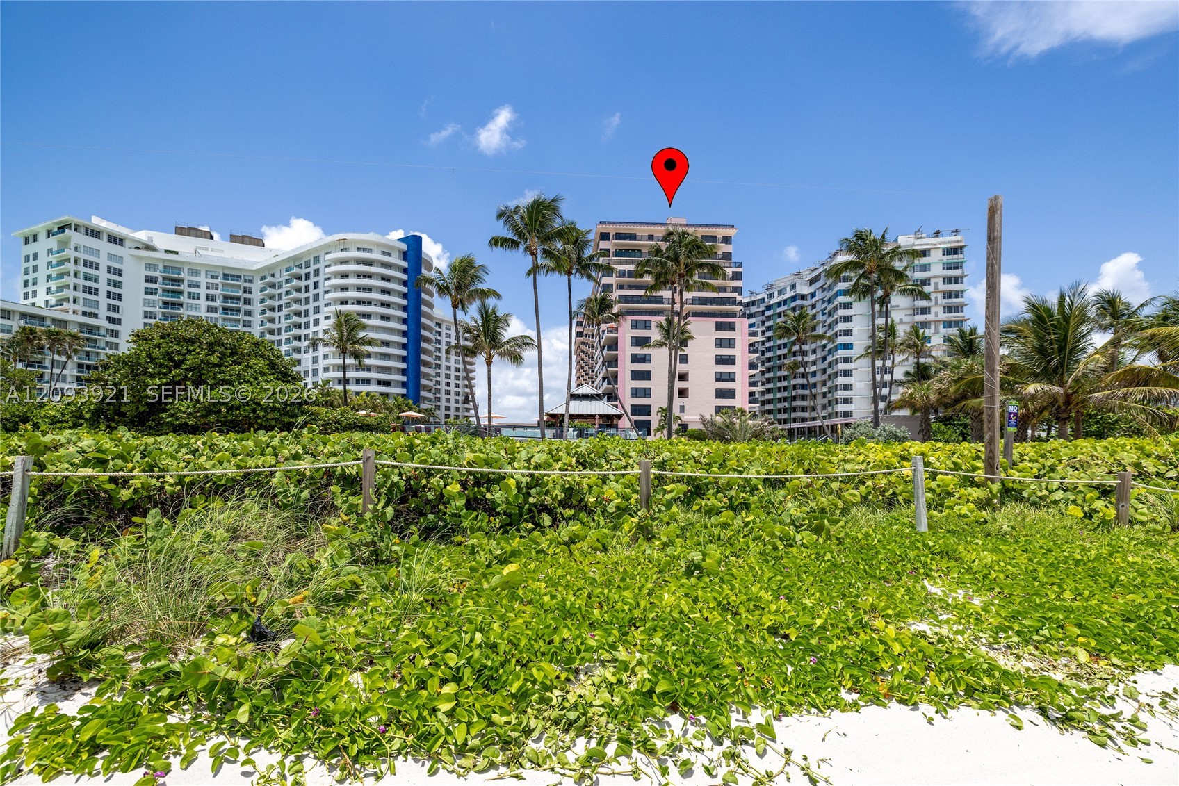 Miami Beach photo 5