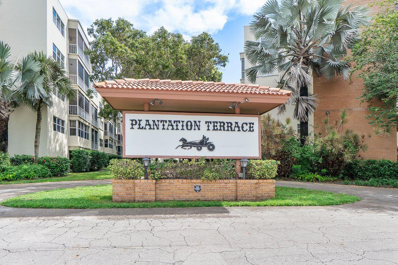 Plantation photo 2