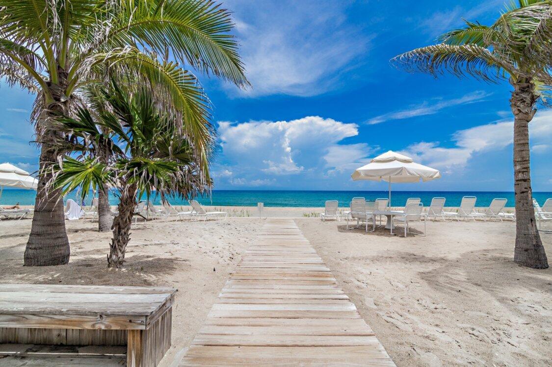 Palm Beach photo 3