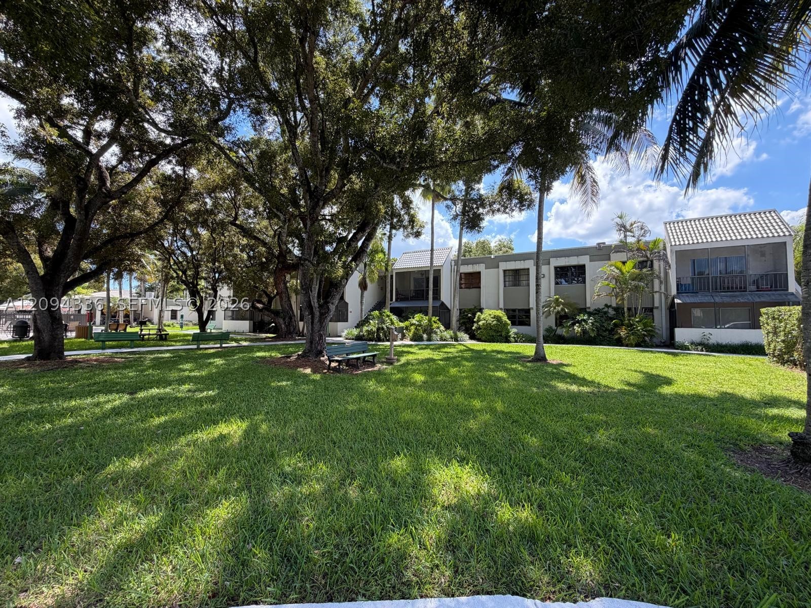 Miami photo 3