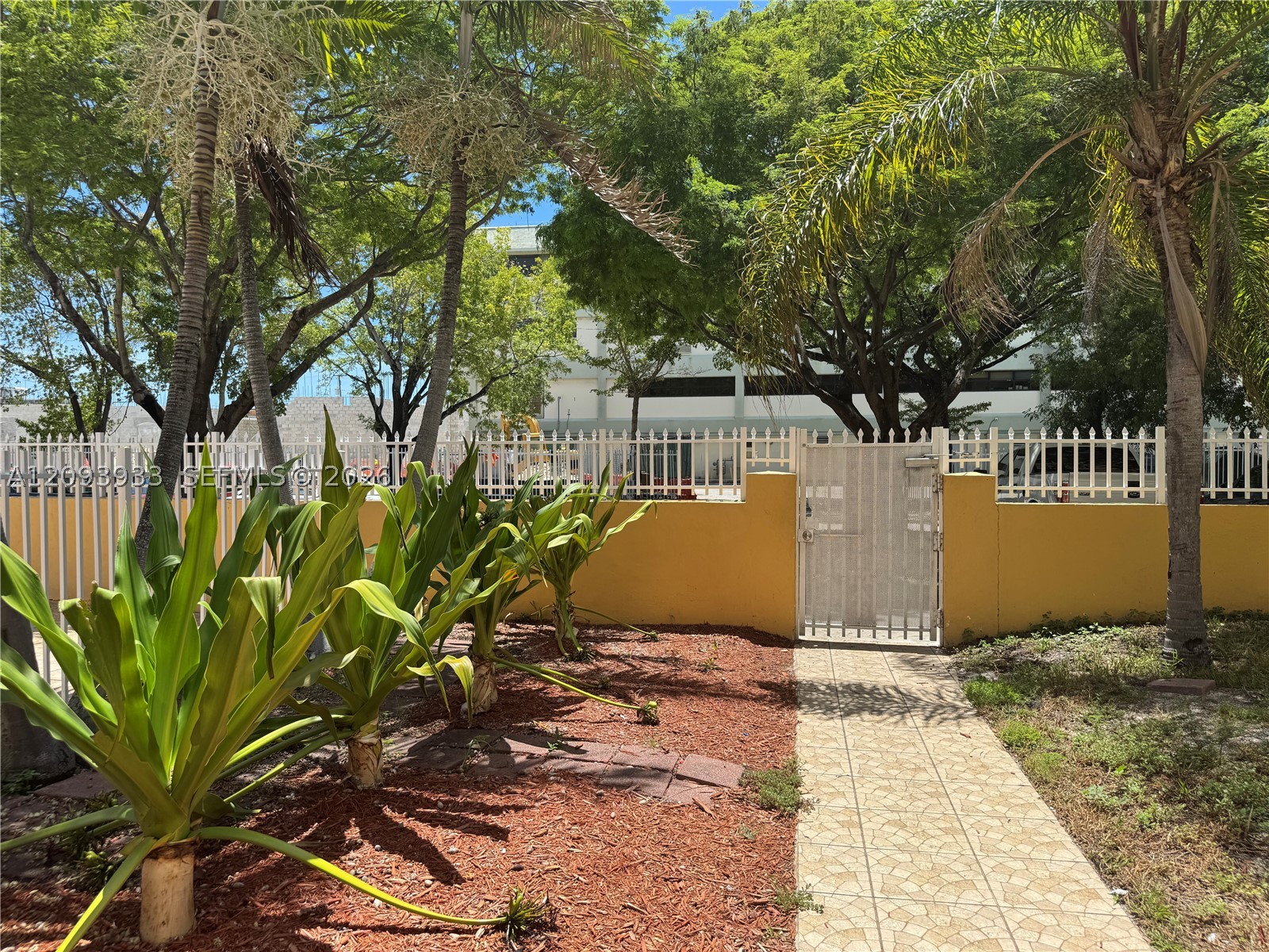 North Miami Beach photo 4