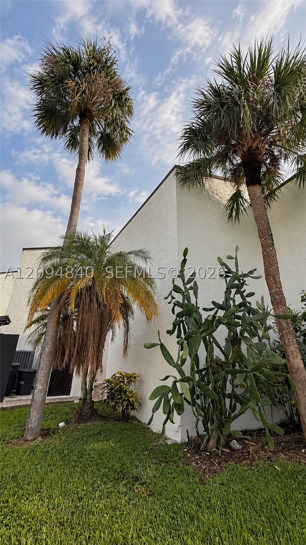 Miami photo 3