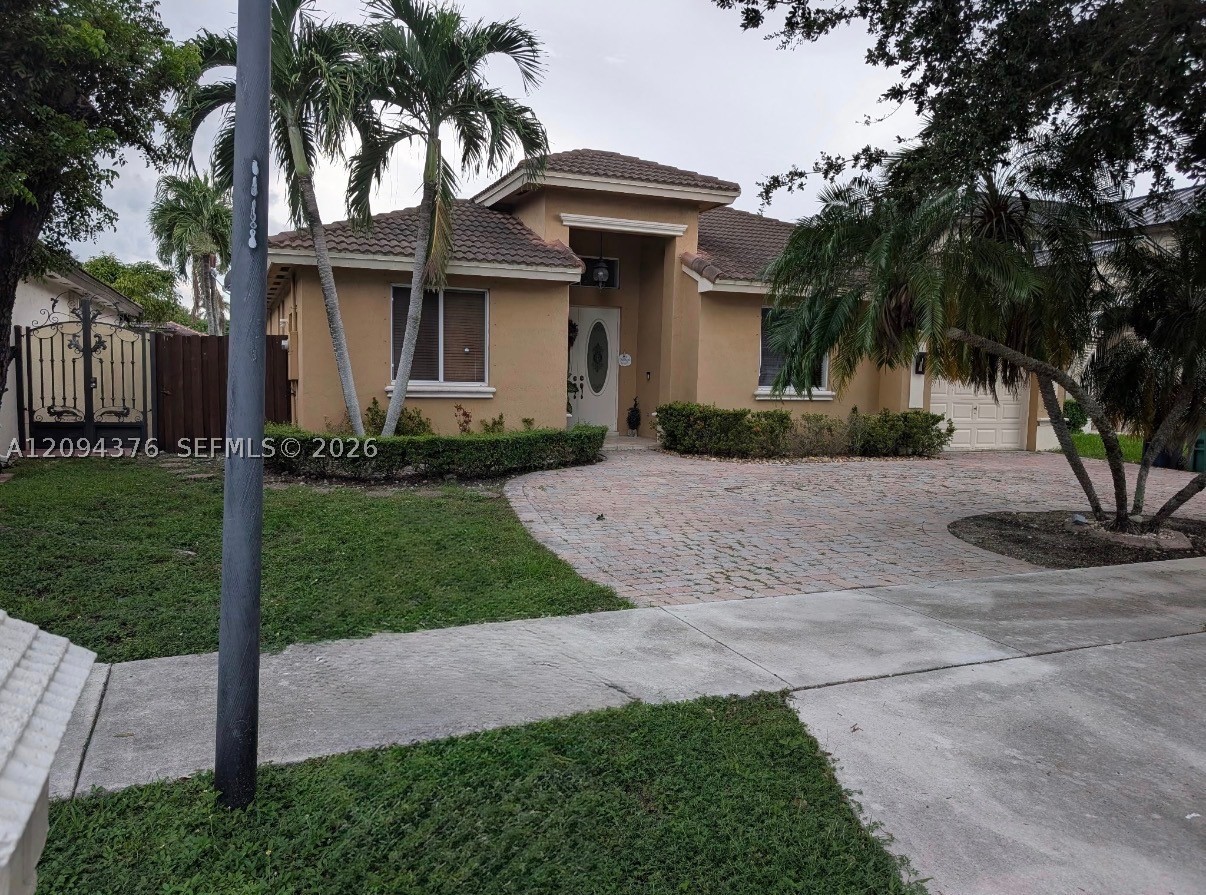 Miami photo 2