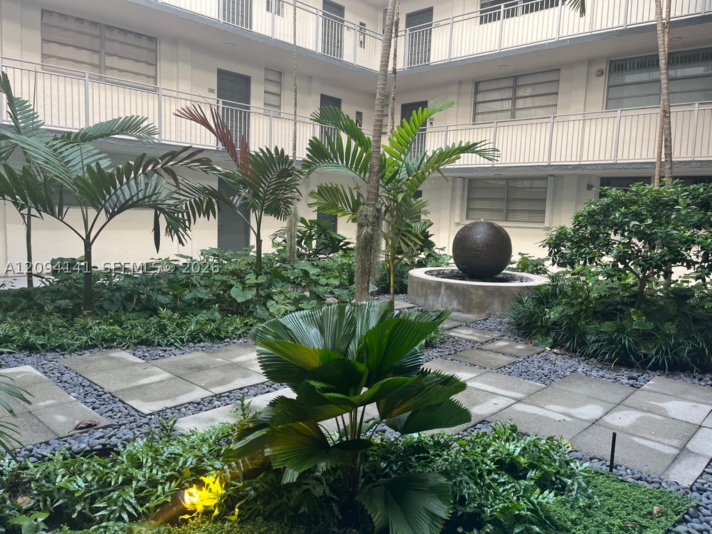 Miami photo 4