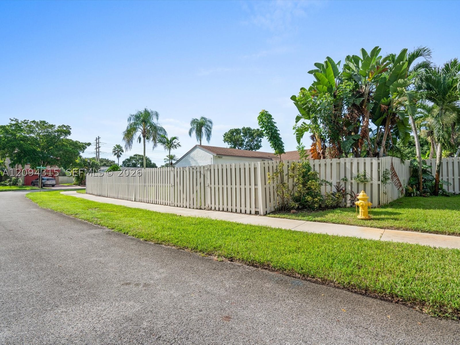 Davie photo 5
