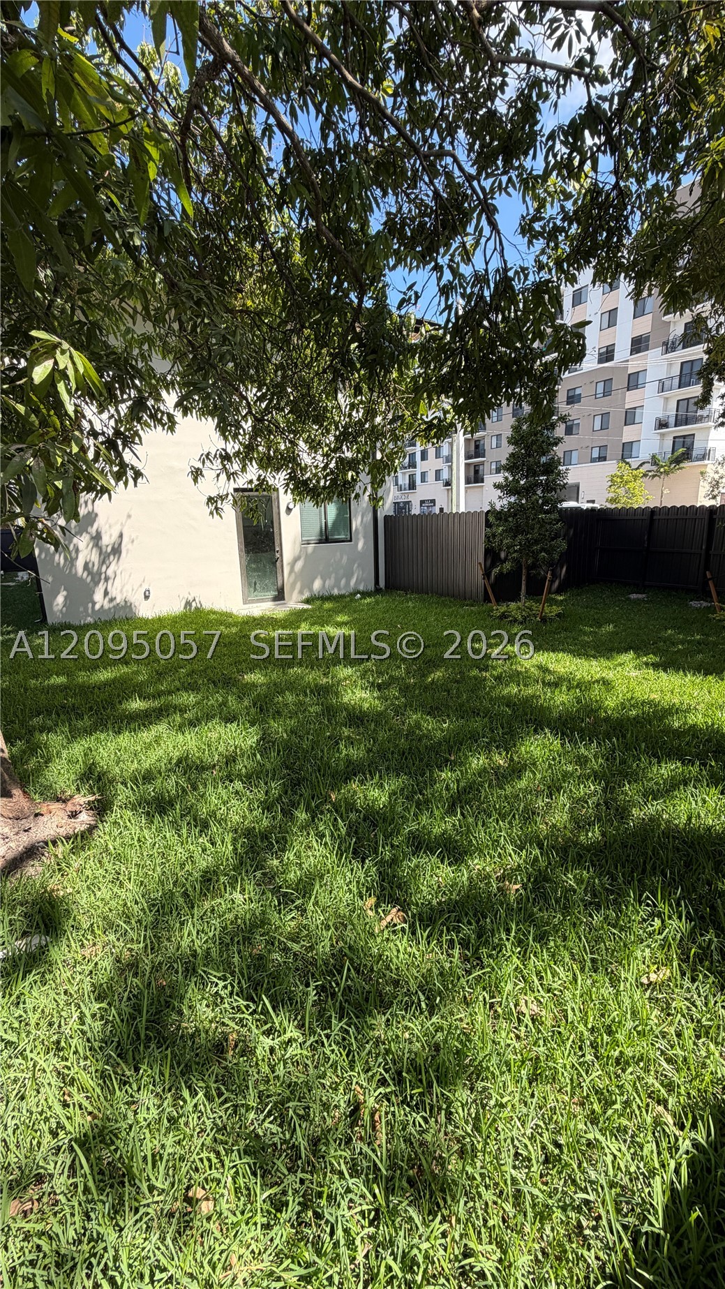Miami photo 3