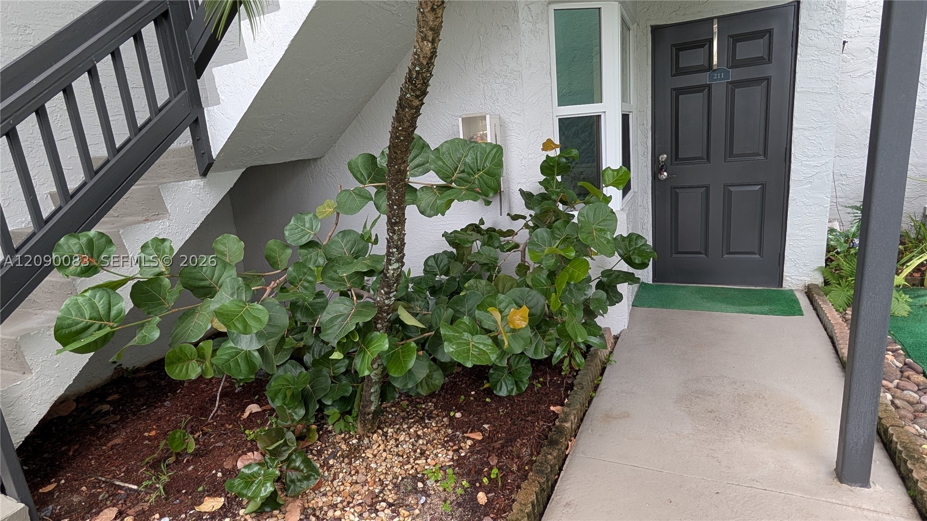 Pembroke Pines photo 4