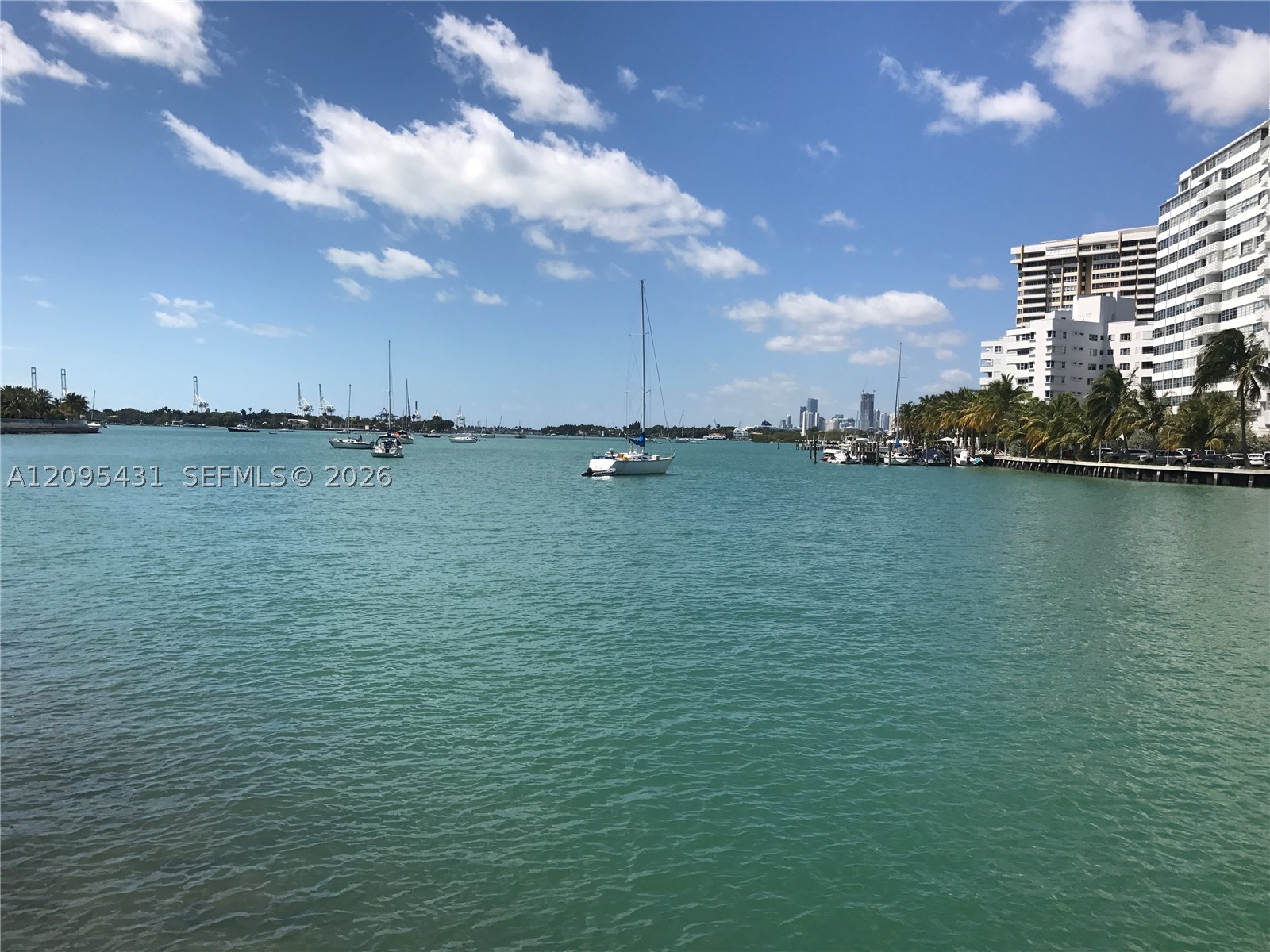 Miami Beach photo 3
