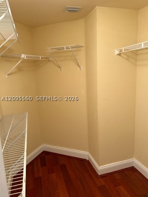 Aventura photo 5
