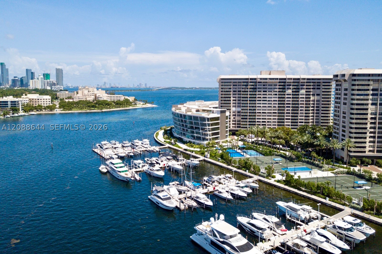 Miami photo 4