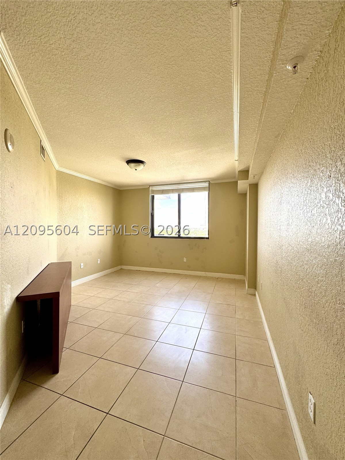 Miami photo 5