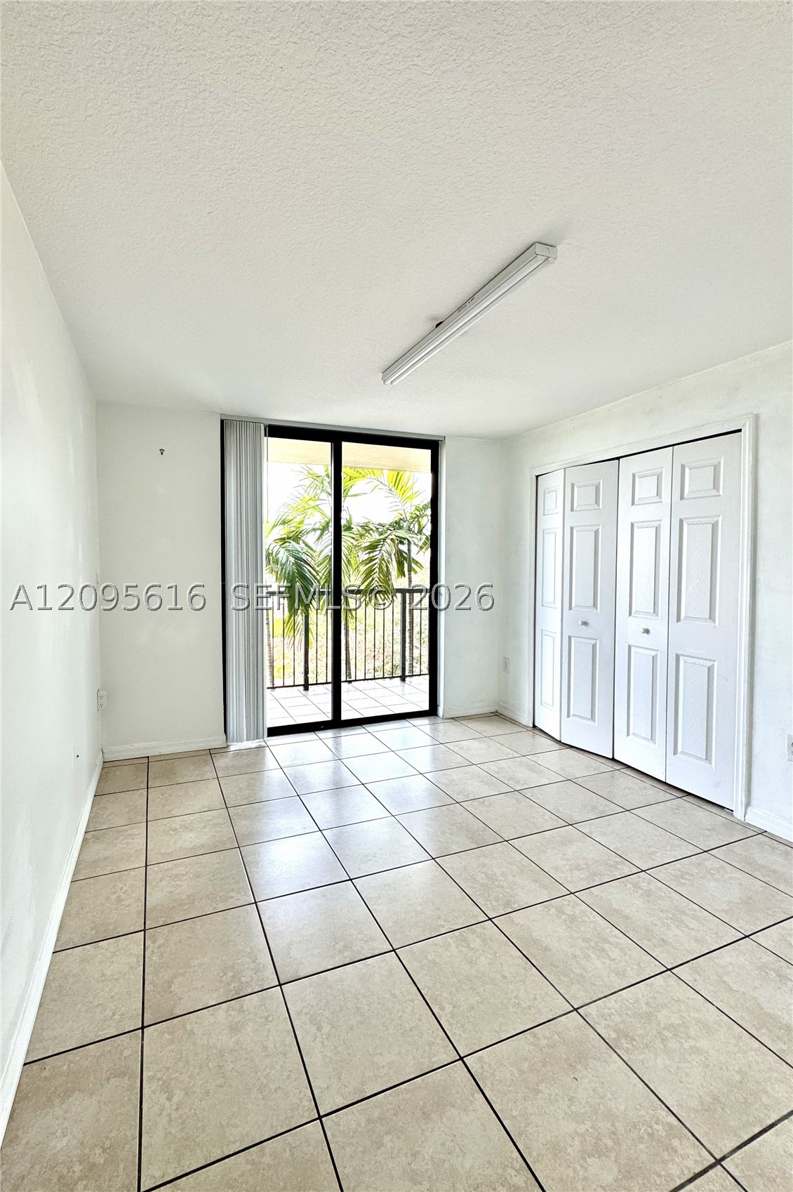 Miami photo 3