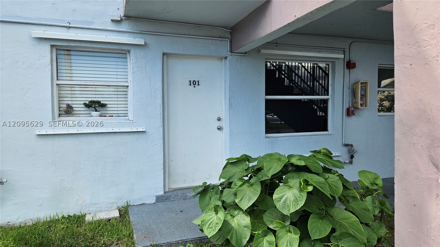 Miami photo 2
