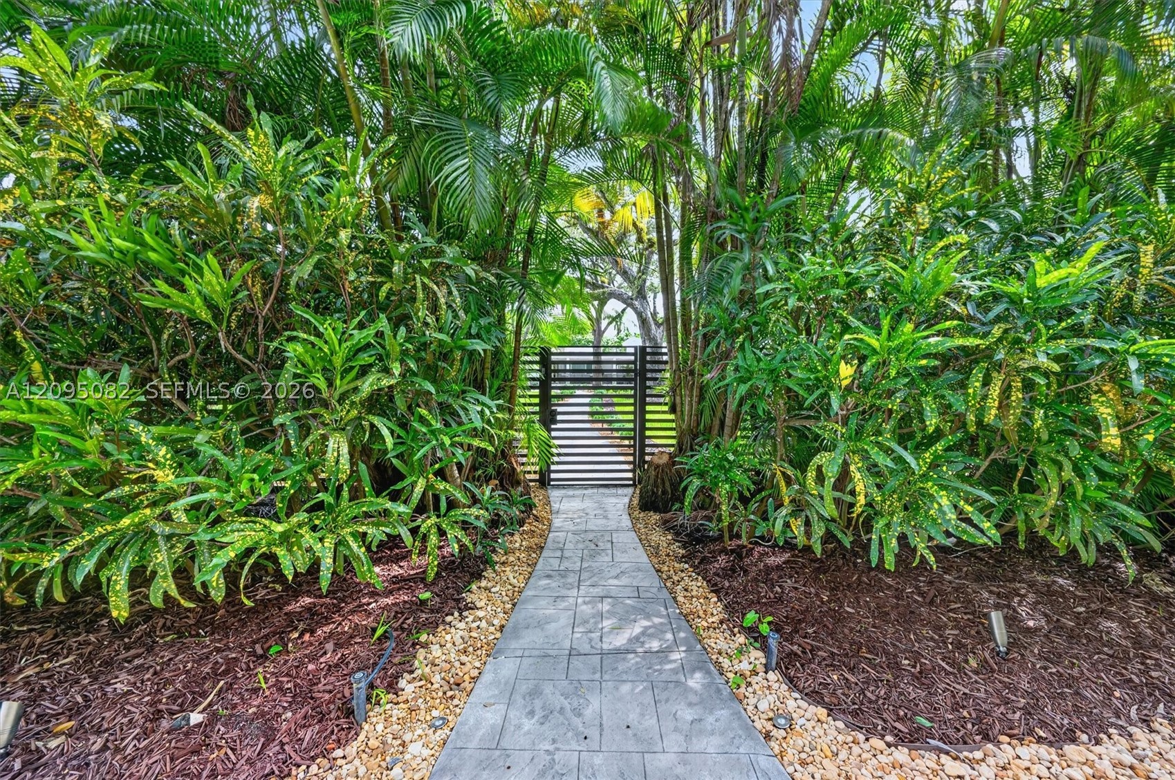 South Miami photo 3