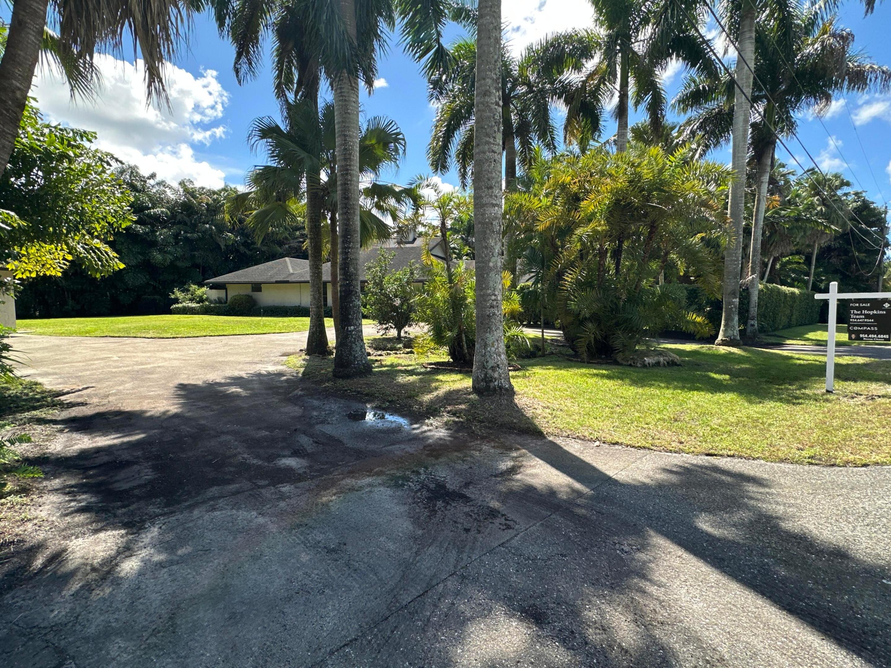 Plantation photo 2