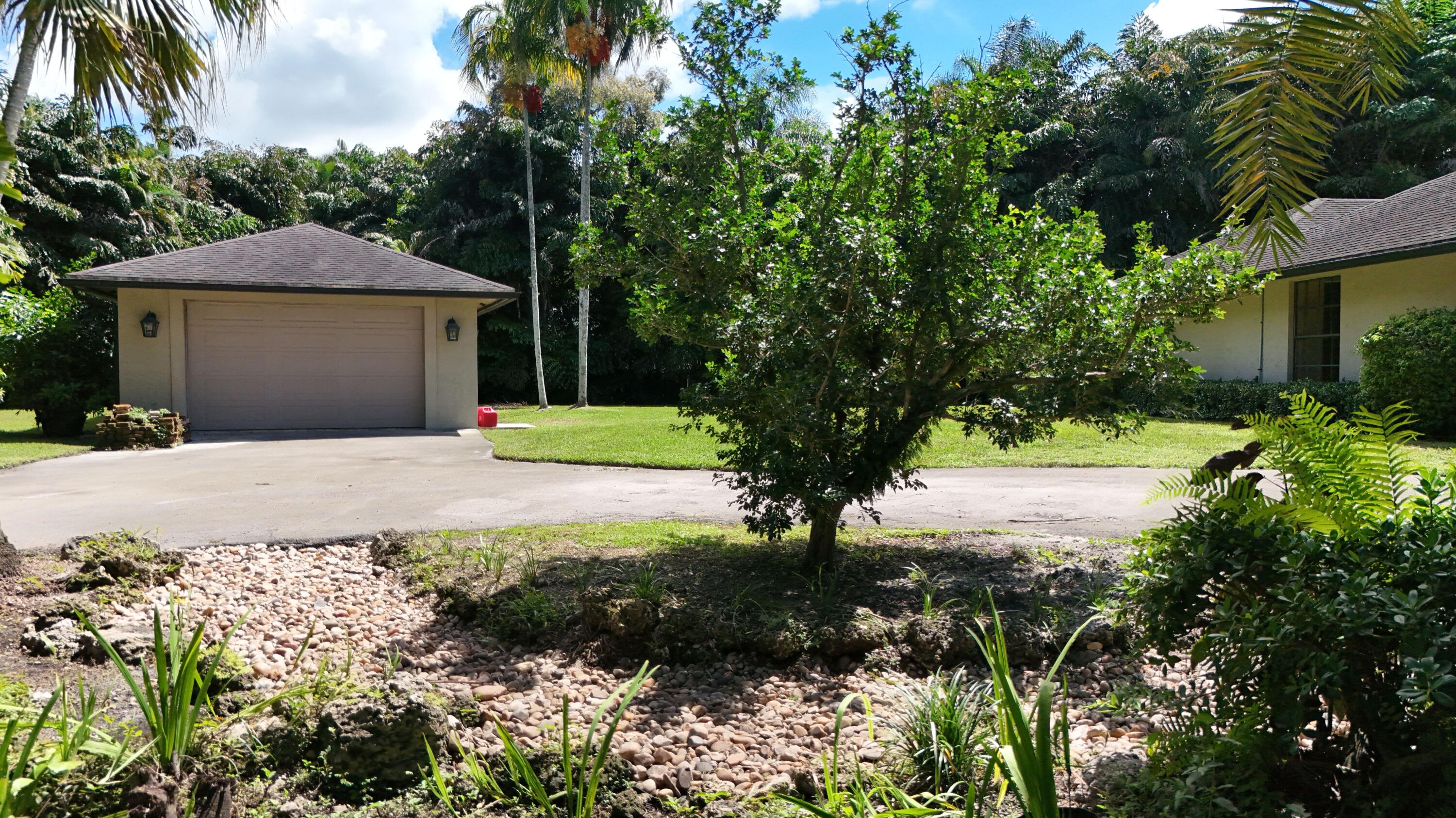 Plantation photo 3