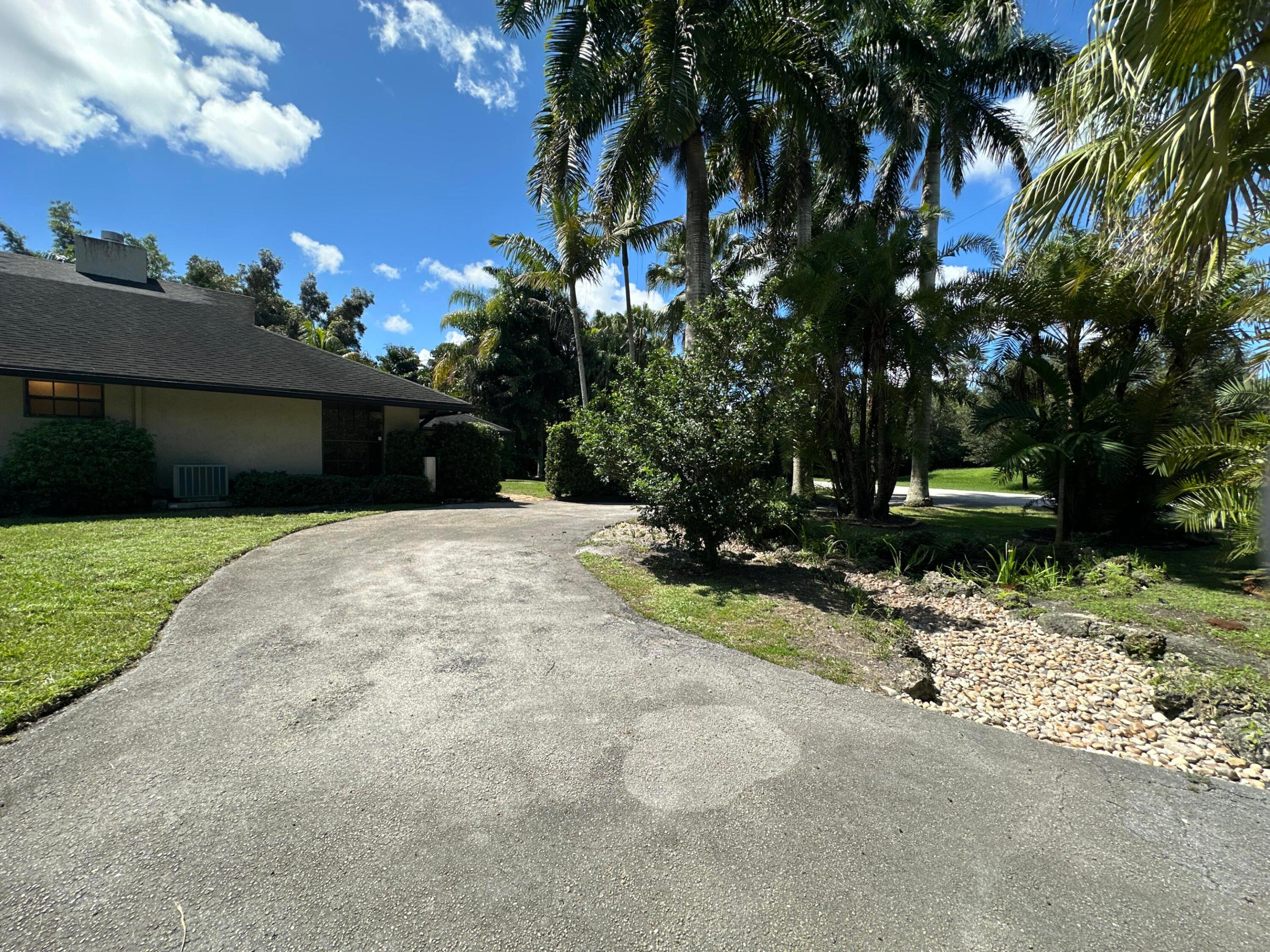 Plantation photo 4