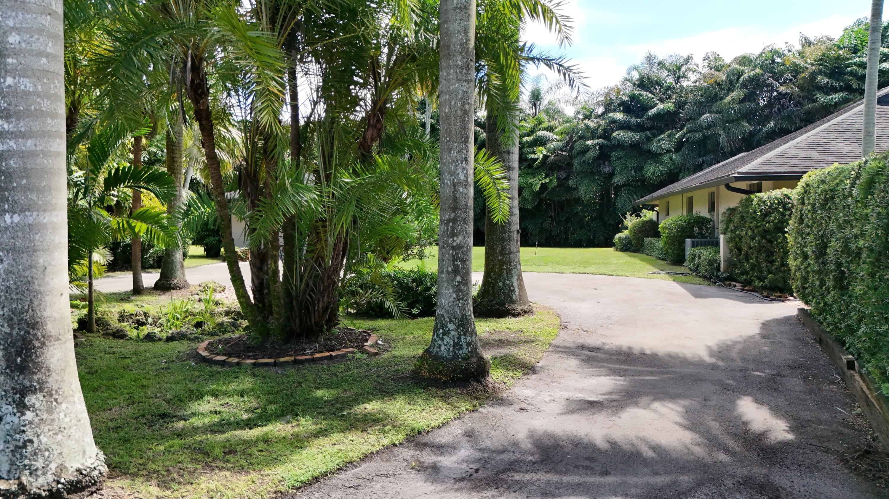Plantation photo 5