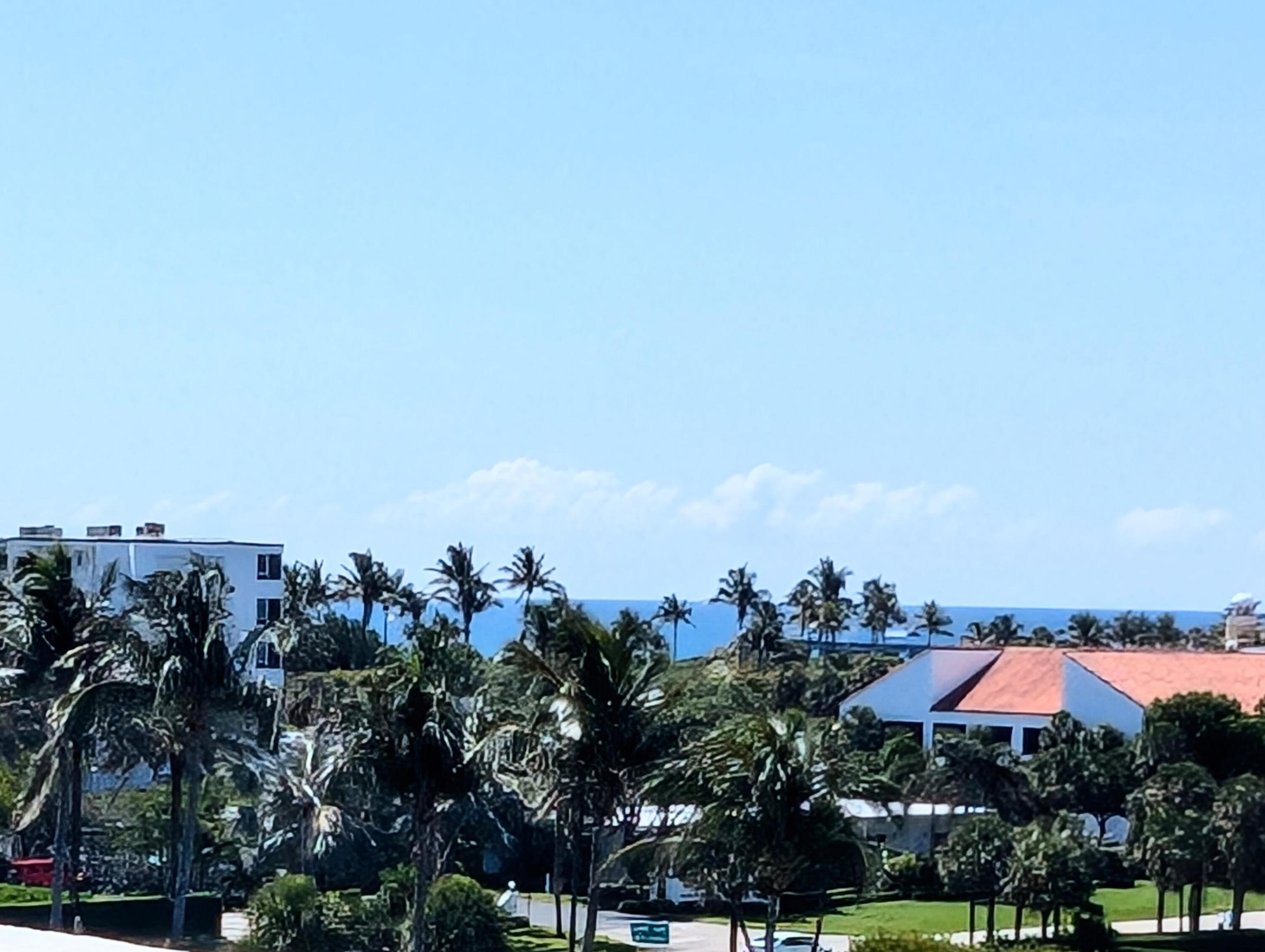 Palm Beach photo 5
