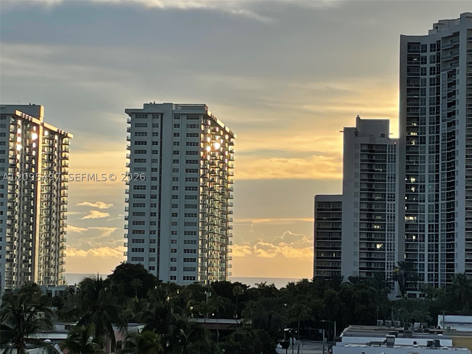 Fort Lauderdale photo 4