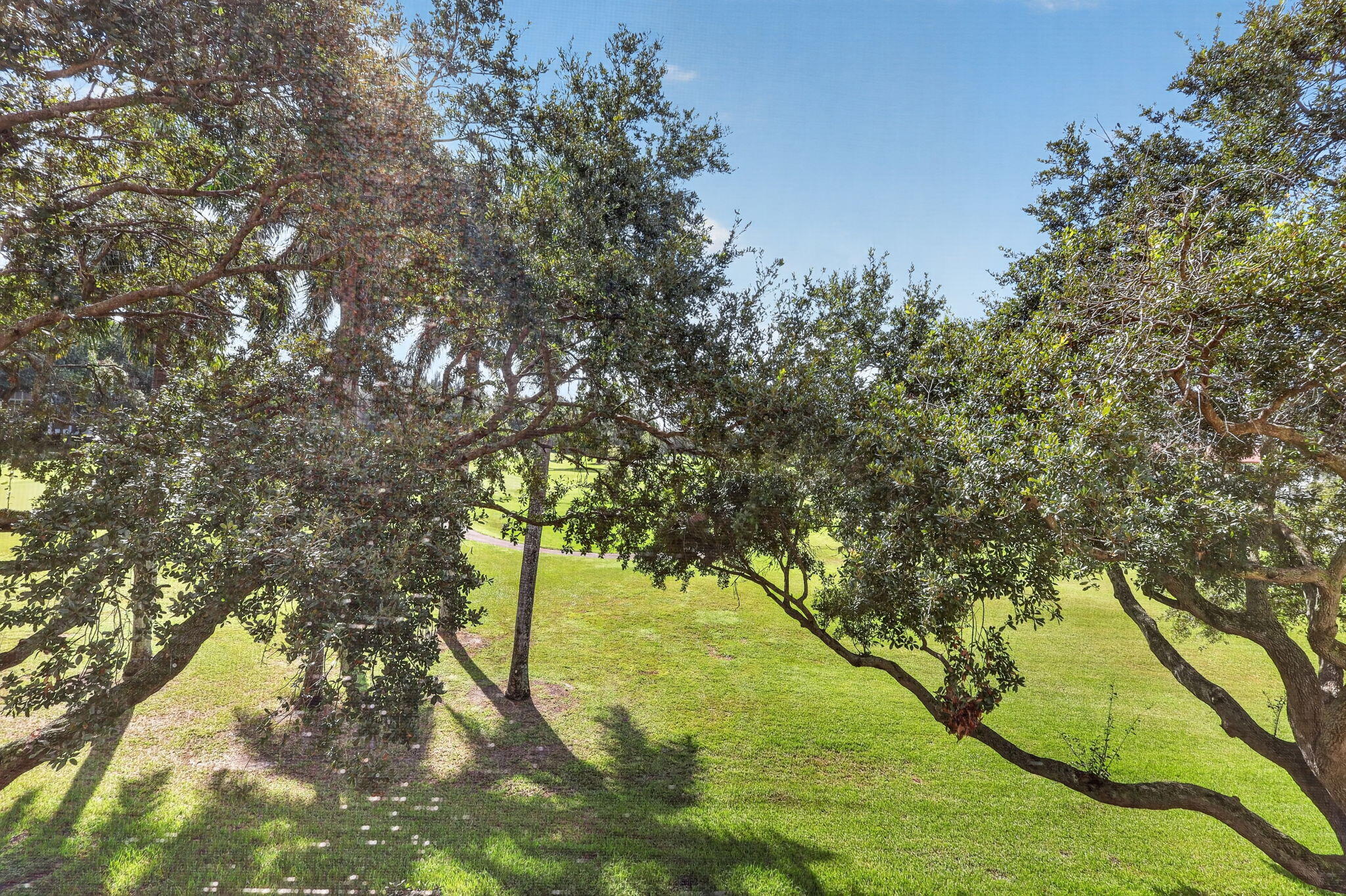 Pembroke Pines photo 3